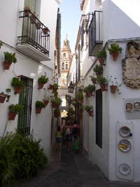 Calleja de Flores