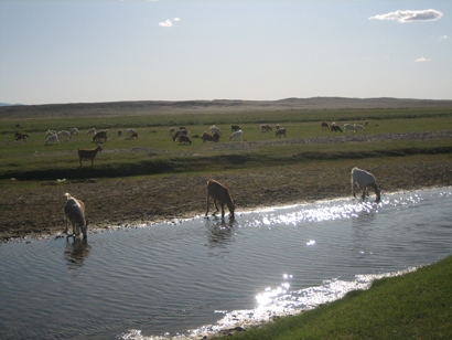 Camp site near Bogd